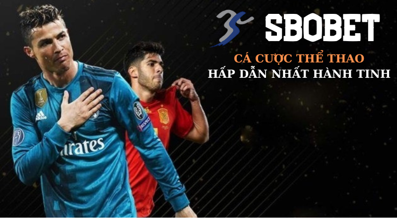 Sbobet tại nhà cái 79king là gì?